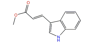 Methyl (E)-3-(1H-indol-3-yl)-2-propenoate